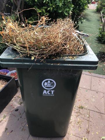 বাগানের ডালপালার ব্যবহার 