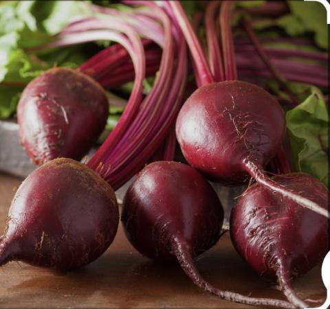 বিটরুট