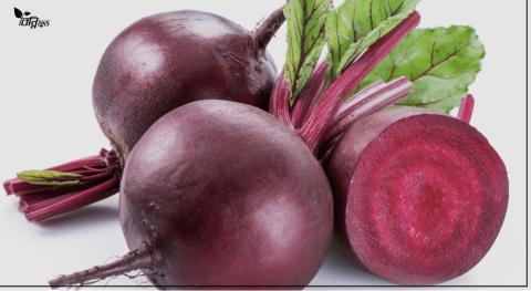 বিটরুট